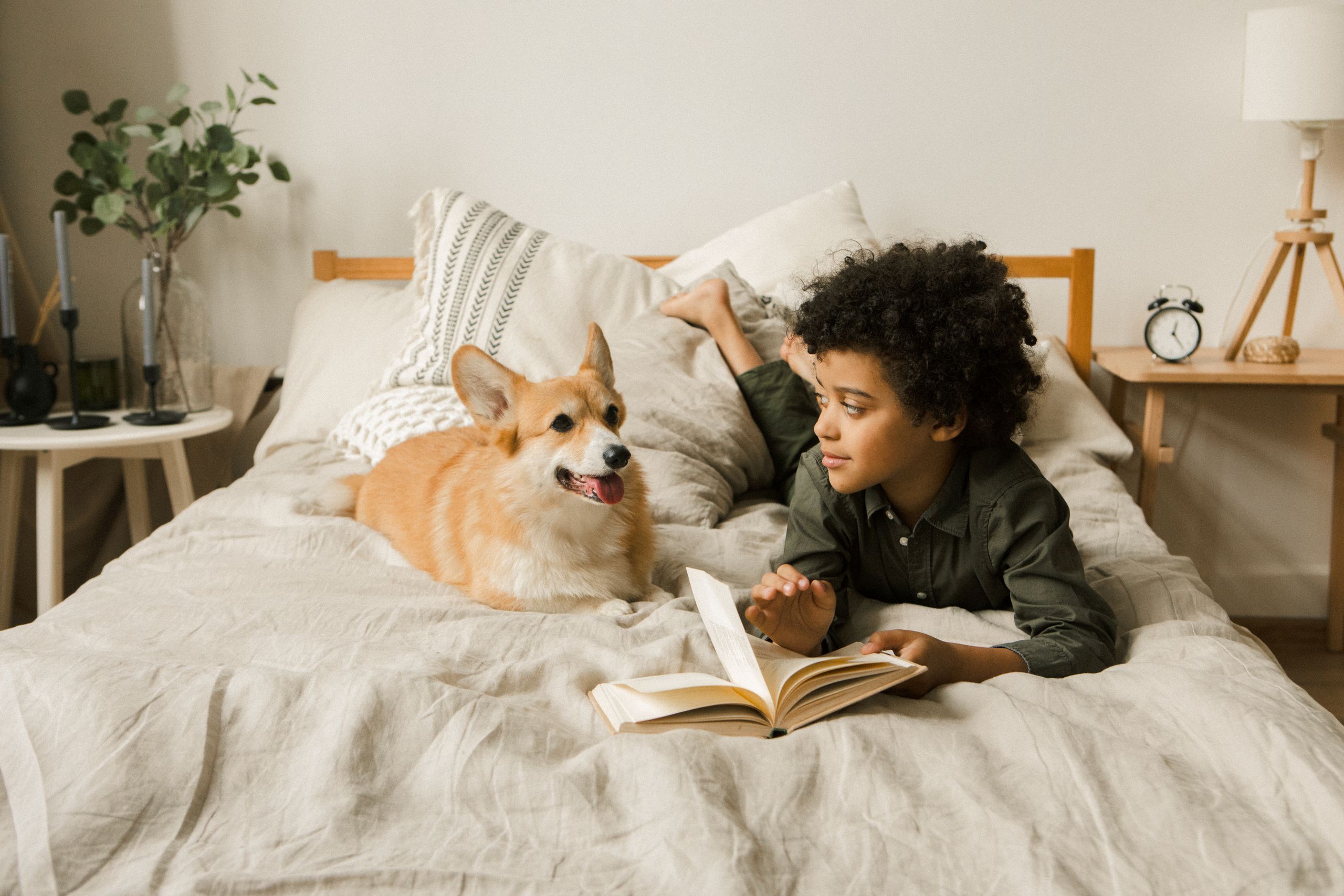 Why Reading to Animals Is One of the Best Things Struggling Readers Can Do
