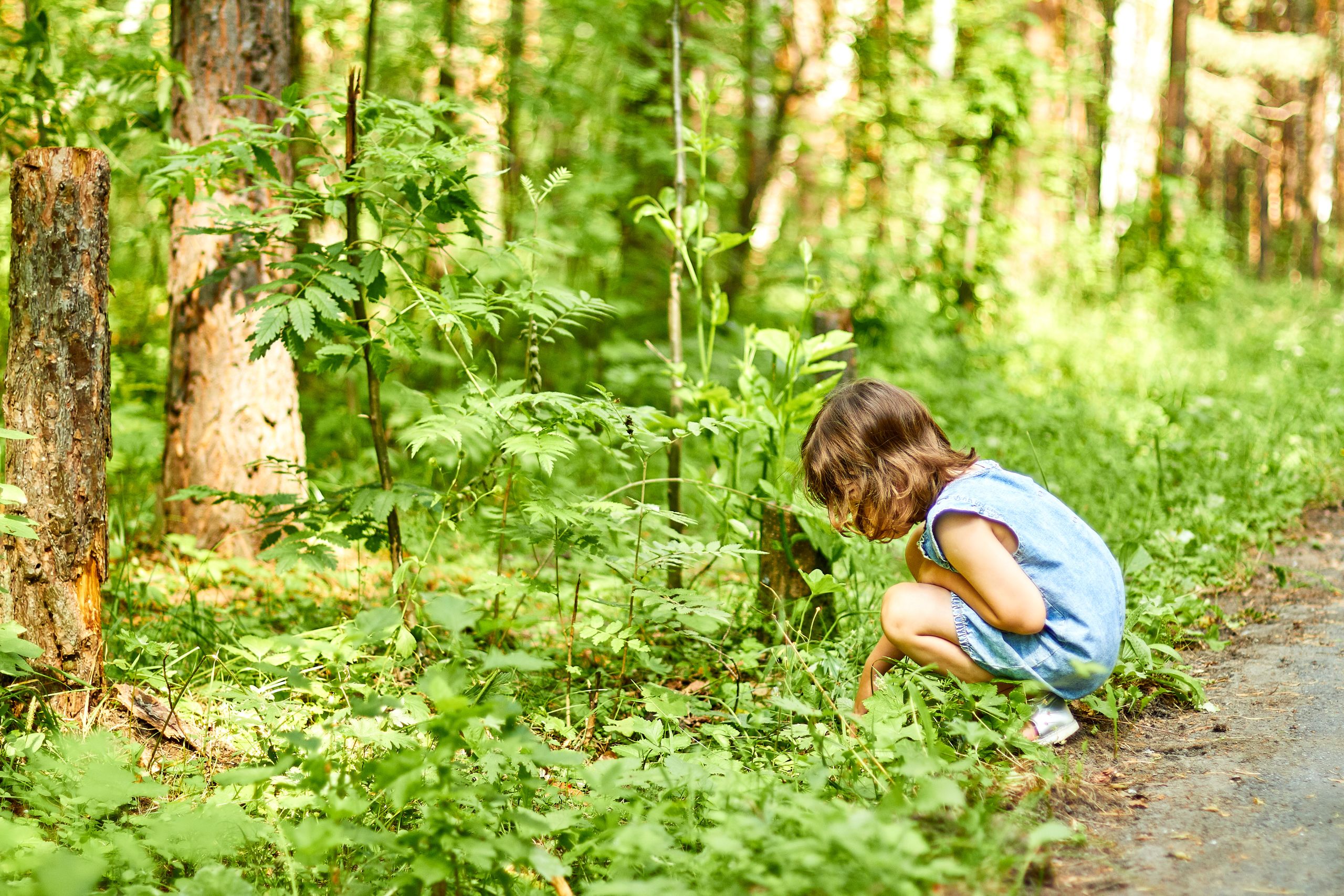 Best Spring Nature Books for Kids: Butterflies, Frogs, Ducklings, and More