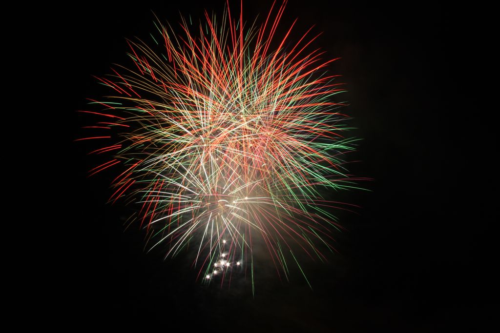 Colorful fireworks exploding in the night sky, capturing a festive and celebratory moment.