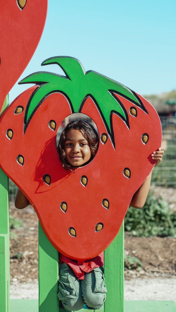 Smiling child posing through strawberry cutout at an outdoor farm on a sunny day.