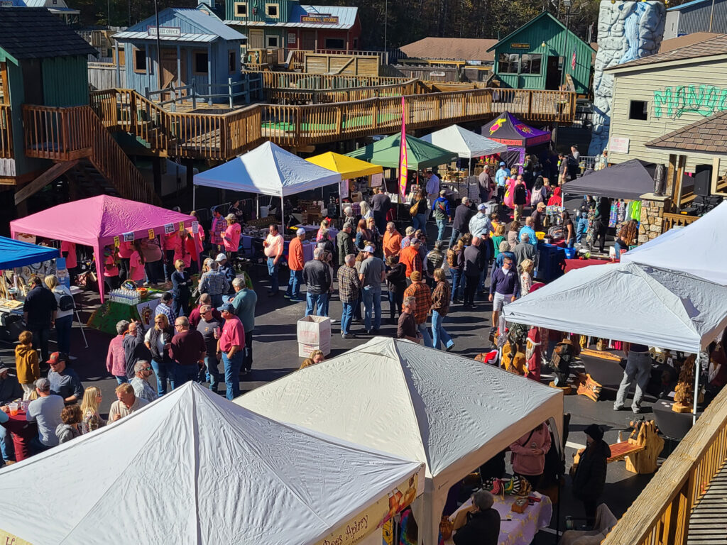 Smith Mountain Lake Chili and Craft Festival