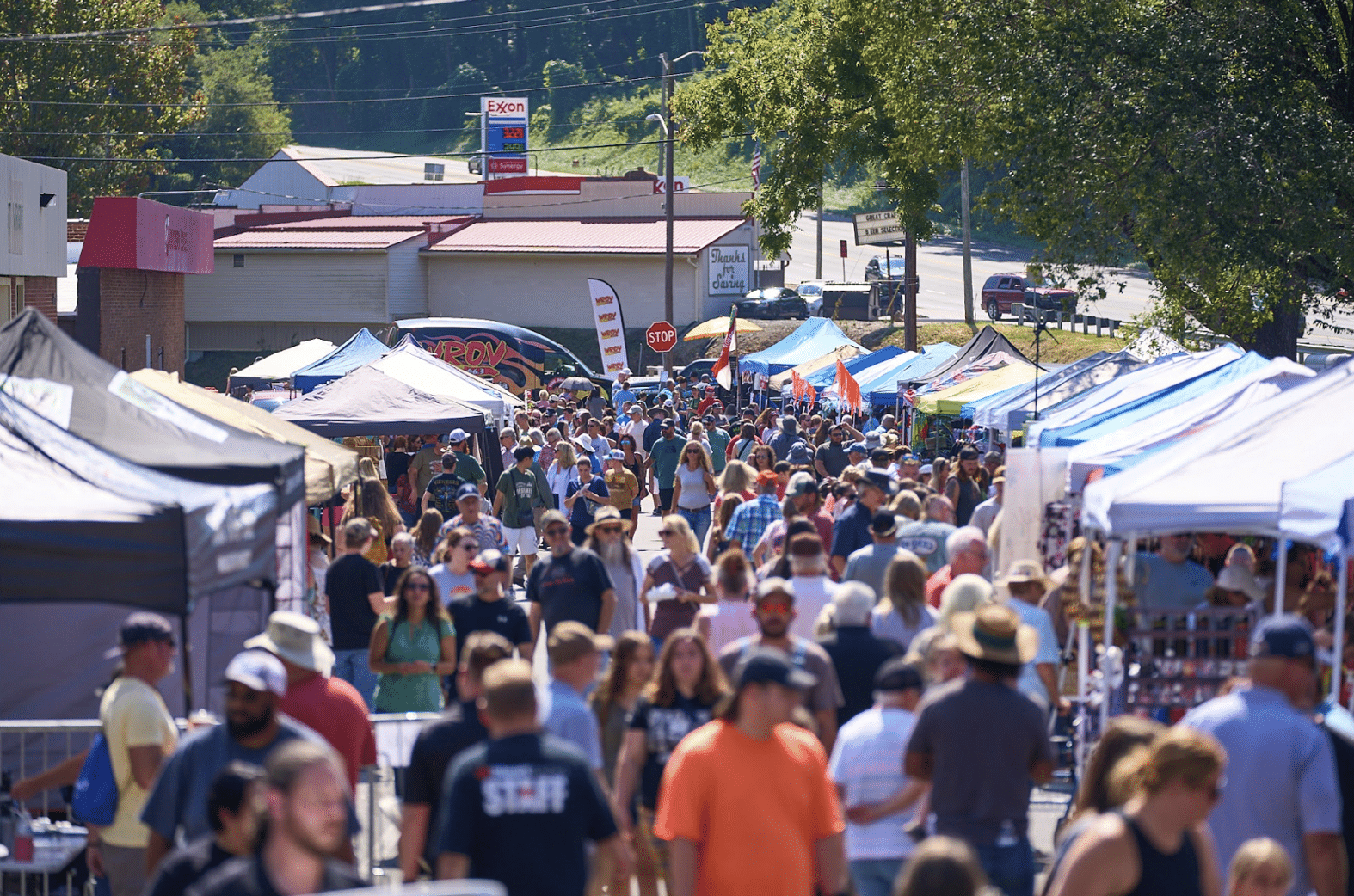 crowded street at Healing Strides Boones Mill Apple Festival