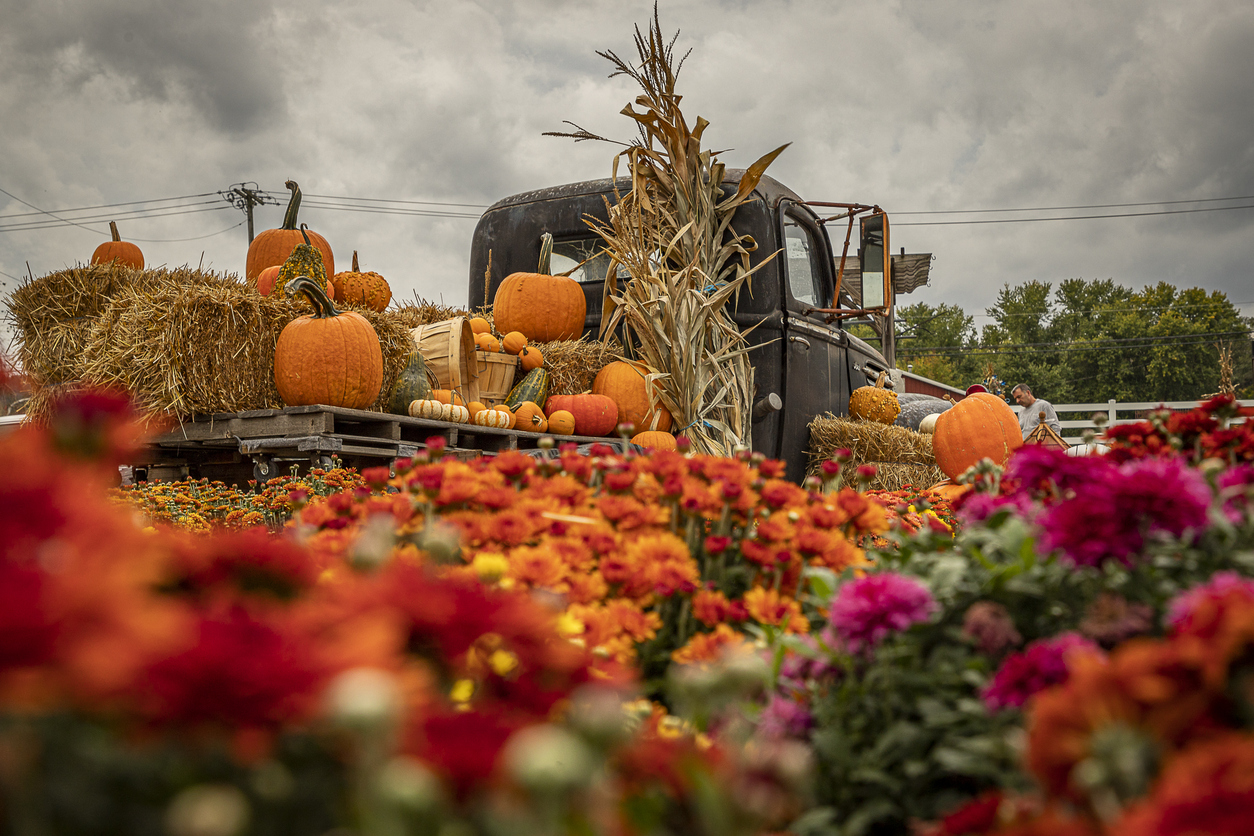 Fall decorations on an antique truck stock photo
