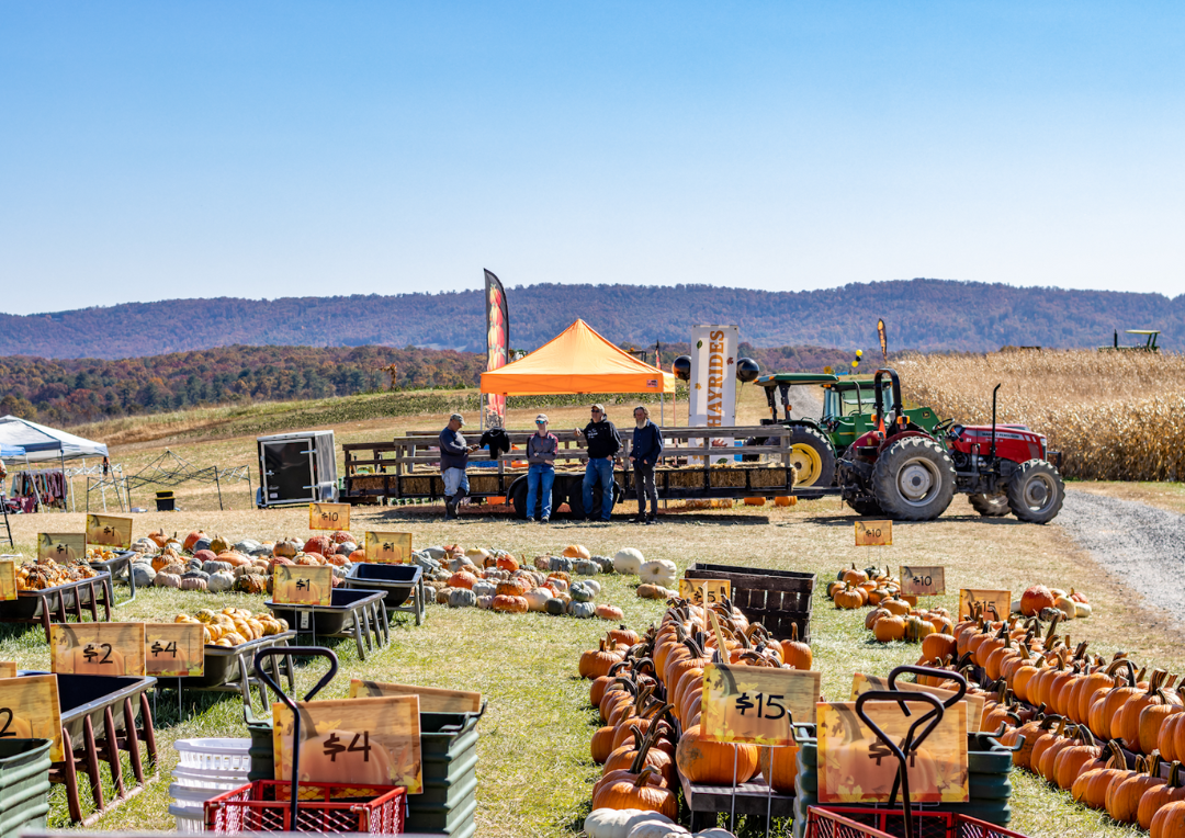 Sinkland Farms pumpkin festival