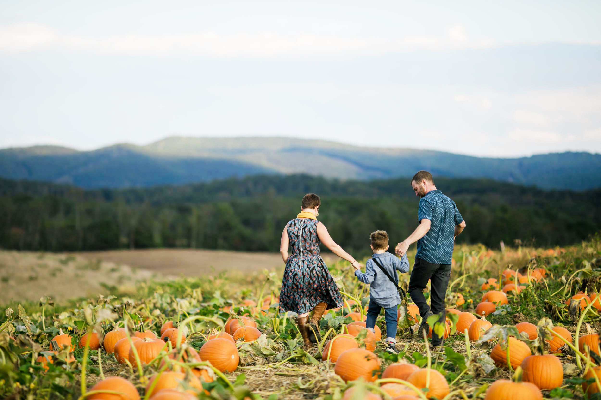 Fall Festivals in the Roanoke Valley: Every Date Worth Circling This Season