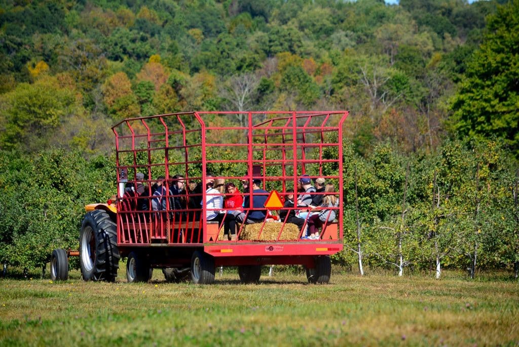 tractor hay ride at Morris Orchard, Monroe