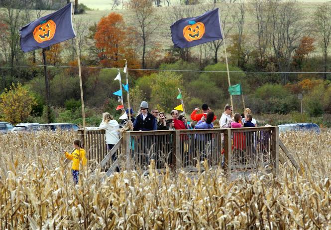 Blue Ridge Mounatin Maze