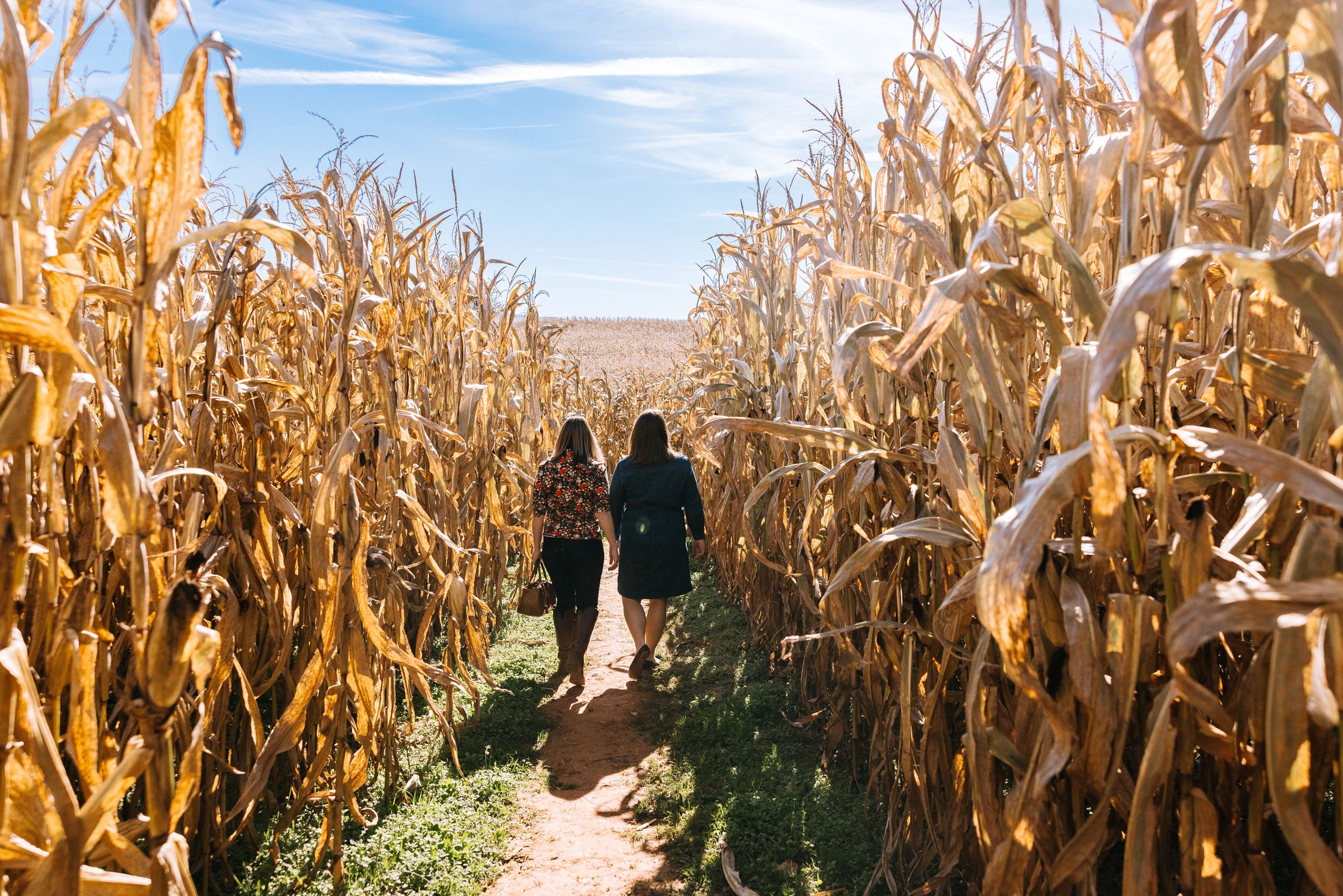 10 Corn Mazes Worth Getting Lost In Near Roanoke